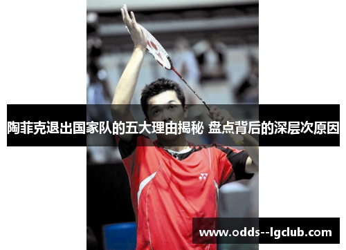 陶菲克退出国家队的五大理由揭秘 盘点背后的深层次原因 陶菲克退出国家队的五大理由揭秘 盘点背后的深层次原因