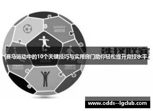 赛马运动中的10个关键技巧与实用窍门助你轻松提升竞技水平 赛马运动中的10个关键技巧与实用窍门助你轻松提升竞技水平