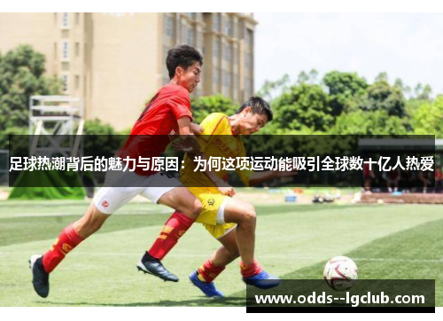足球热潮背后的魅力与原因:为何这项运动能吸引全球数十亿人热爱 足球热潮背后的魅力与原因:为何这项运动能吸引全球数十亿人热爱